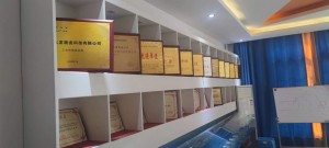 Customer visit2