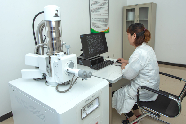 Japan Electronic Scanning Electron Microscope (2)
